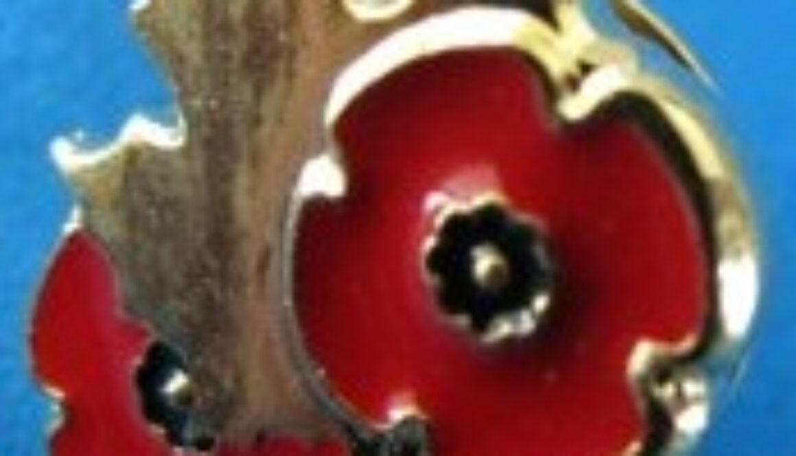 -db_img-POPPYhat-pin-