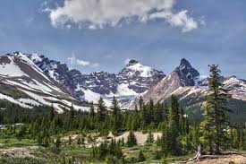 Rockies Rockies
