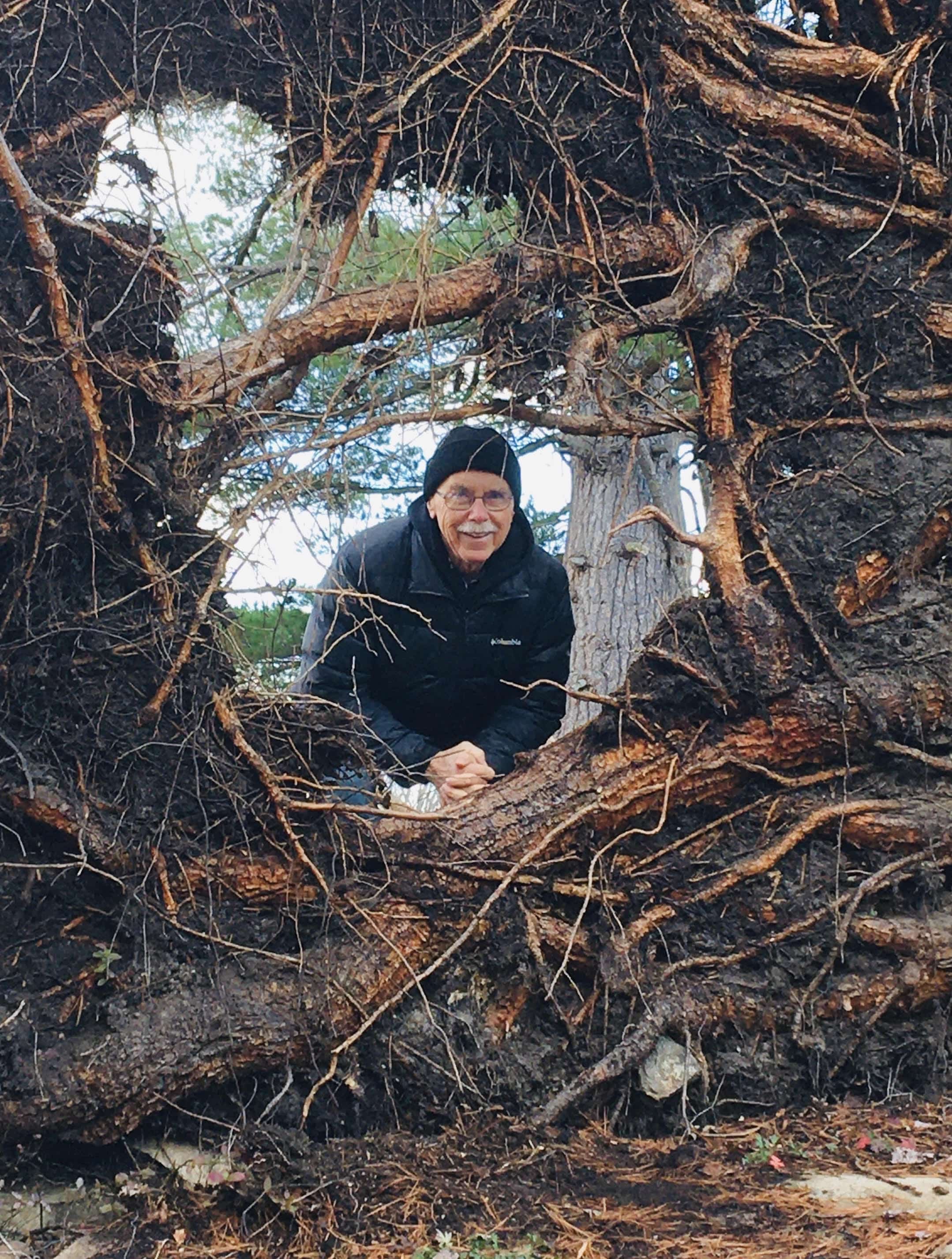 Dad - Tree Root