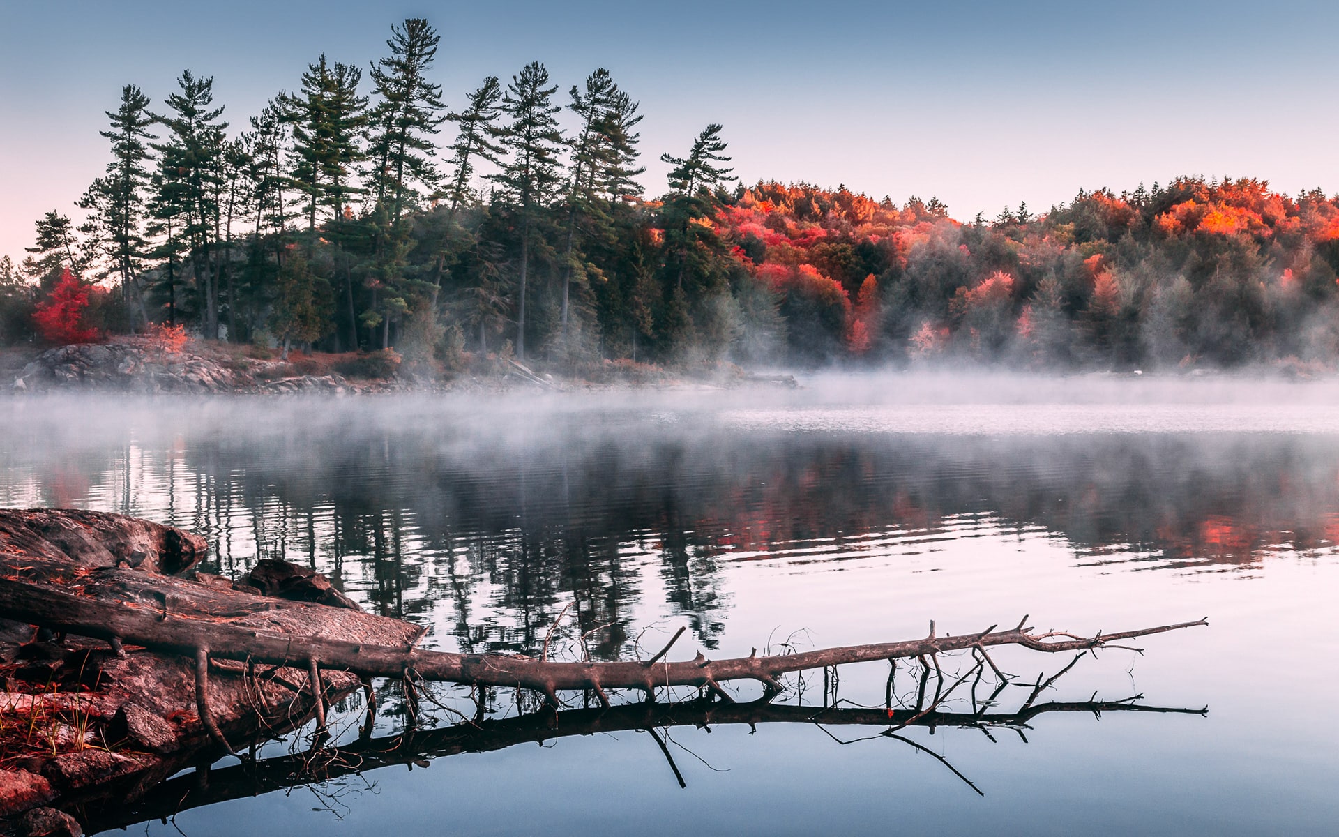 Algonquin Algonquin