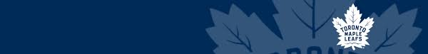 Leafs banner