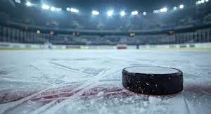 PuckPic
